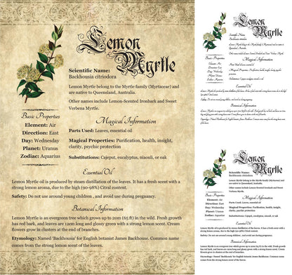 Collage of 3 versions of the Lemon Myrtle grimoire page: with a readable/serif vs script font + with/without background
