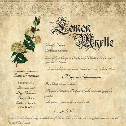 Antique-style grimoire page on the properties of Lemon Myrtle, with an aged paper background and script font
