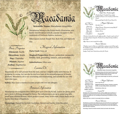 Collage of 3 versions of the Macadamia grimoire page: with a readable/serif vs script font + with/without background