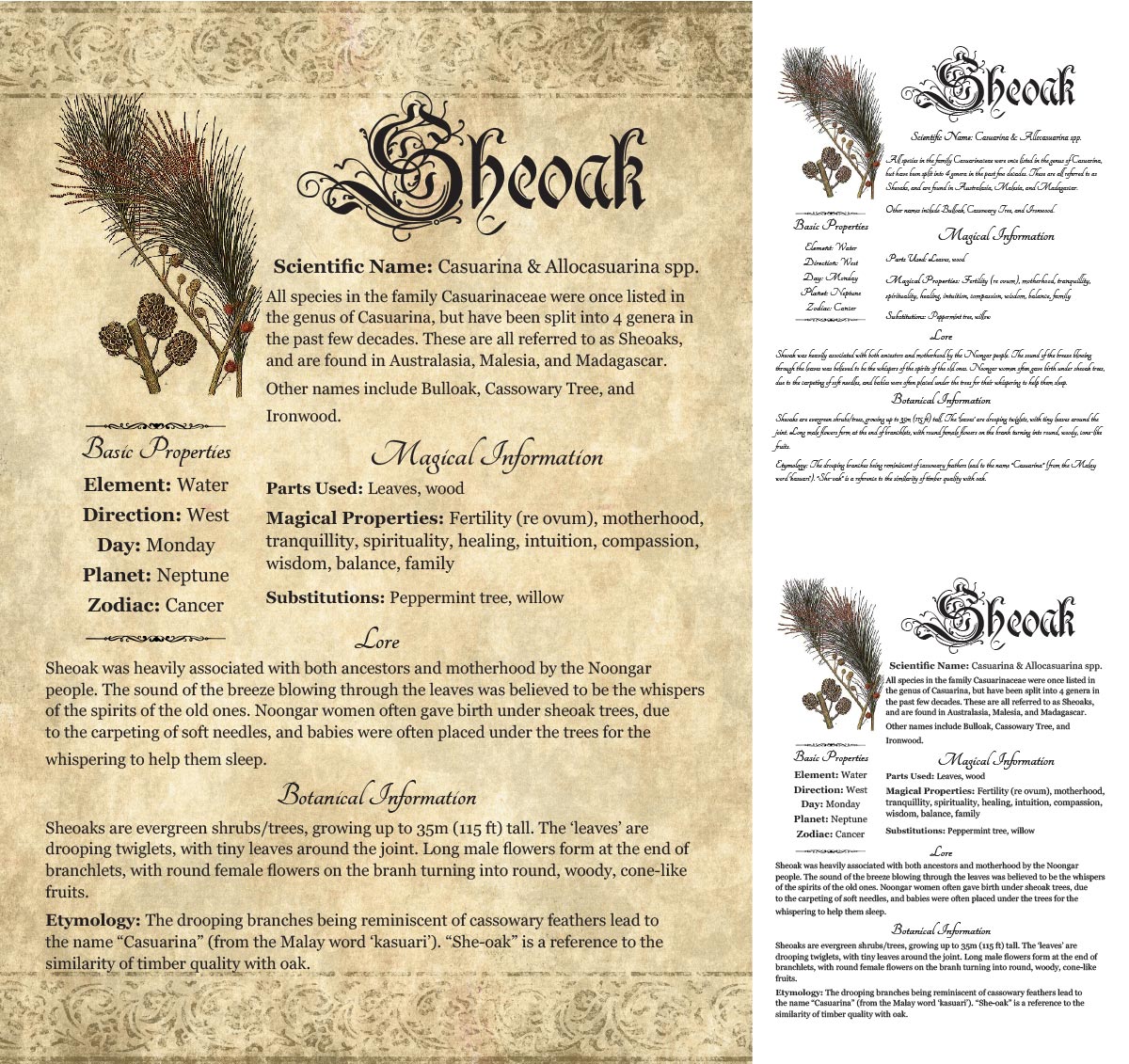 Collage of 3 versions of the Sheoak grimoire page: with a readable/serif vs script font + with/without background