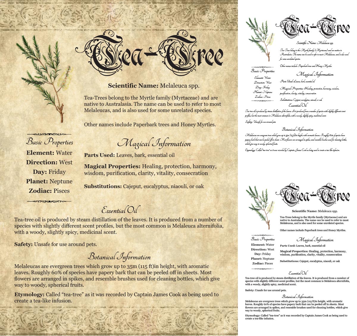 Collage of 3 versions of the Tea-Tree grimoire page: with a readable/serif vs script font + with/without background