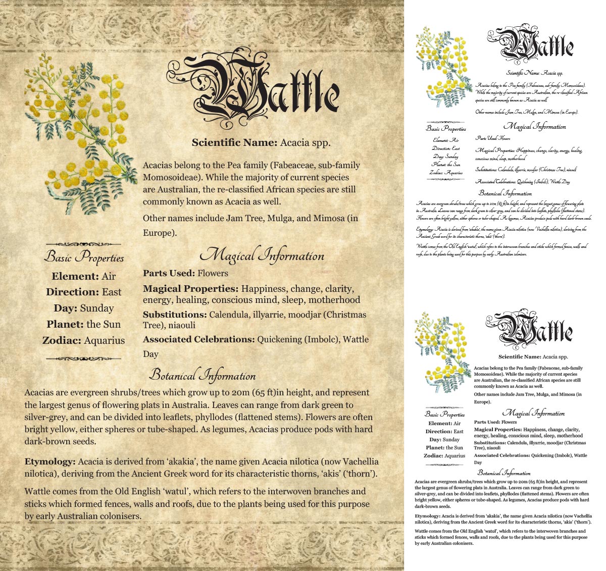 Collage of 3 versions of the Wattle grimoire page: with a readable/serif vs script font + with/without background