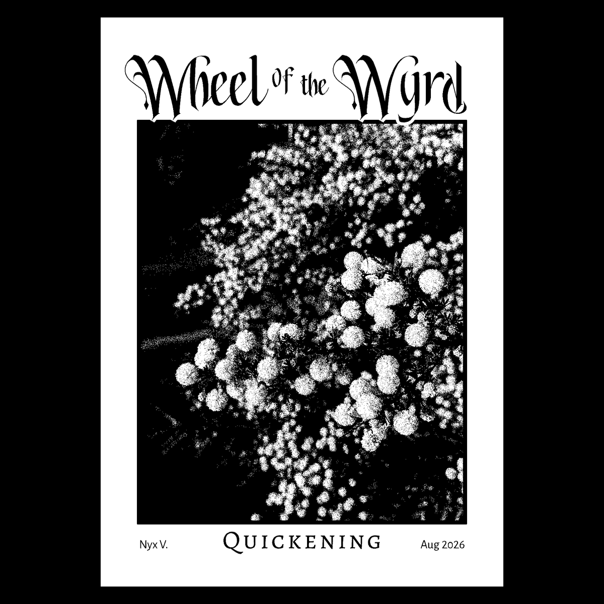 Zine cover for Wheel of the Wyrd, Quickening edition (August 2026), with a black-and-white grainy photo of a wattle in full flower. 