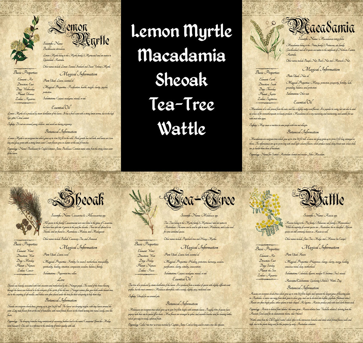 Collage of antique-style grimoire pages; text lists "Lemon Myrtle, Macadamia, Sheoak, Tea-Tree, Wattle"