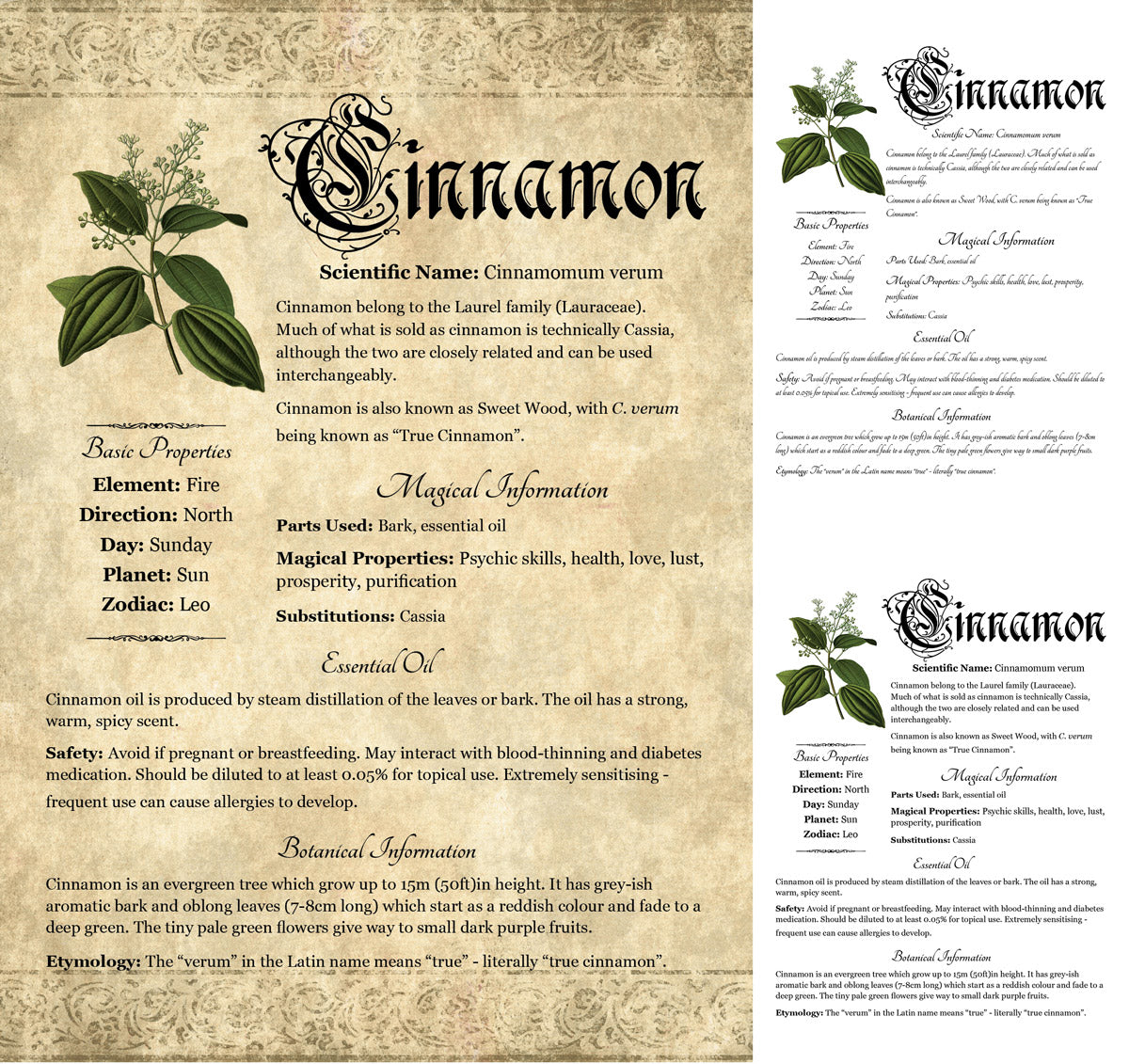 Collage of 3 versions of the Cinnamon grimoire page: with a readable/serif vs script font + with/without background