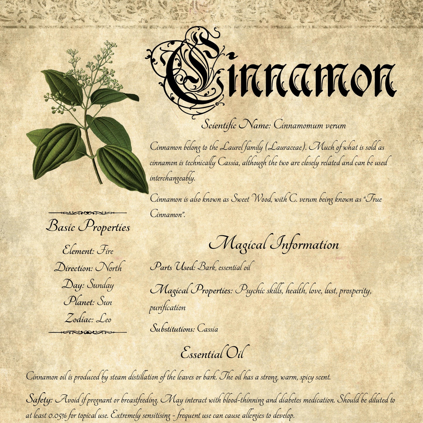 Antique-style grimoire page on the properties of Cinnamon, with an aged paper background and script font