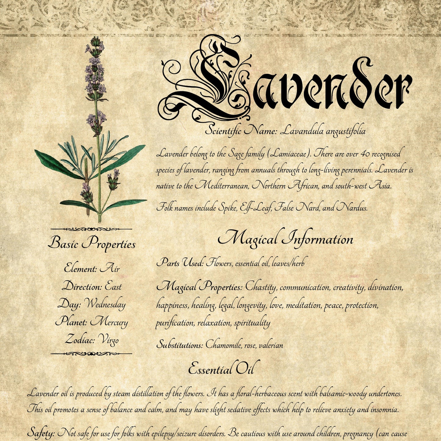 Antique-style grimoire page on the properties of Lavender, with an aged paper background and script font