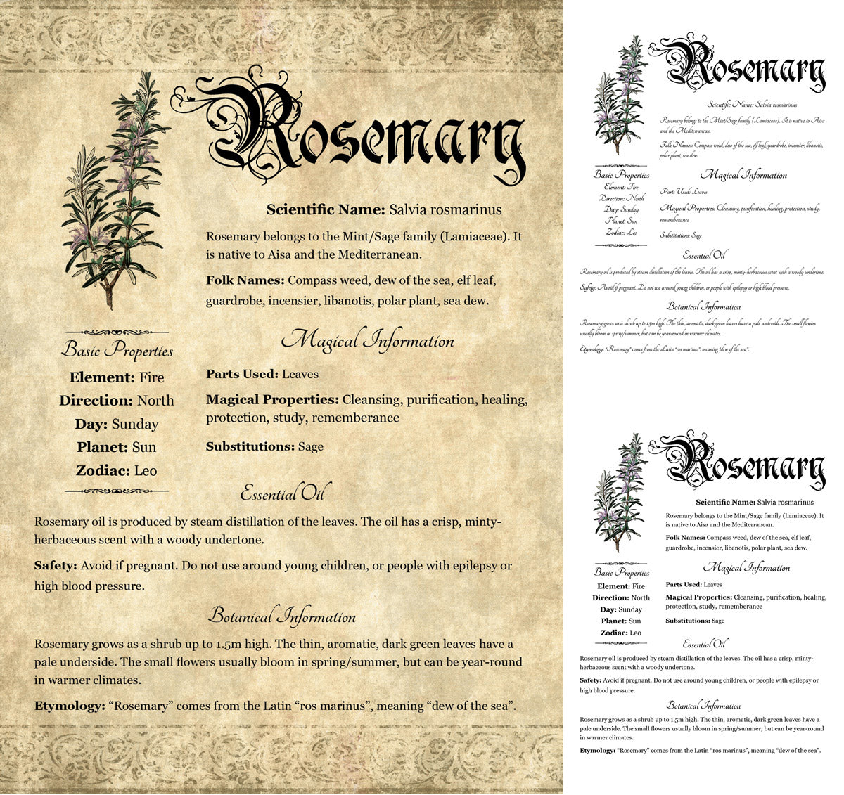 Collage of 3 versions of the Rosemary grimoire page: with a readable/serif vs script font + with/without background