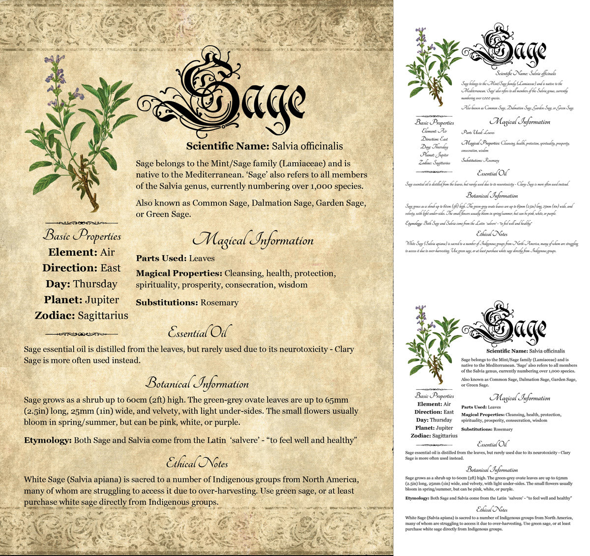 Collage of 3 versions of the Sage grimoire page: with a readable/serif vs script font + with/without background