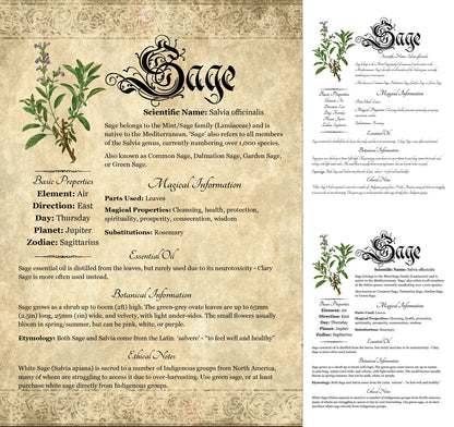 Collage of 3 versions of the Sage grimoire page: with a readable/serif vs script font + with/without background