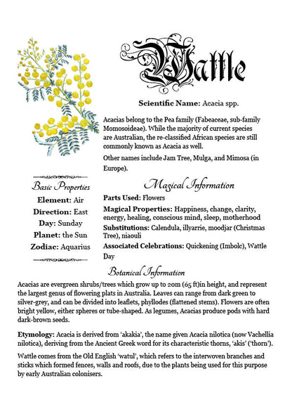 Antique-style grimoire page on the properties of Wattle, with a white background and readable serif font