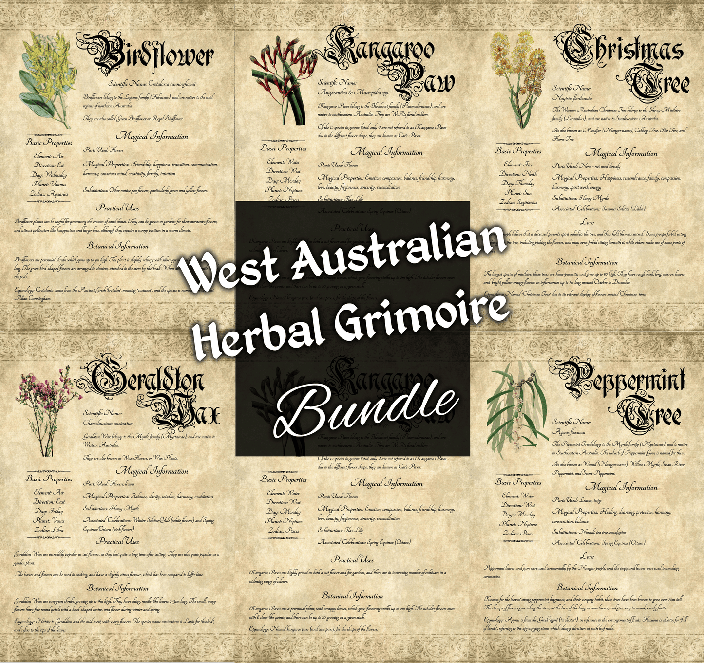Collage of antique-style grimoire pages; central text "West Australian Herbal Grimoire Bundle"