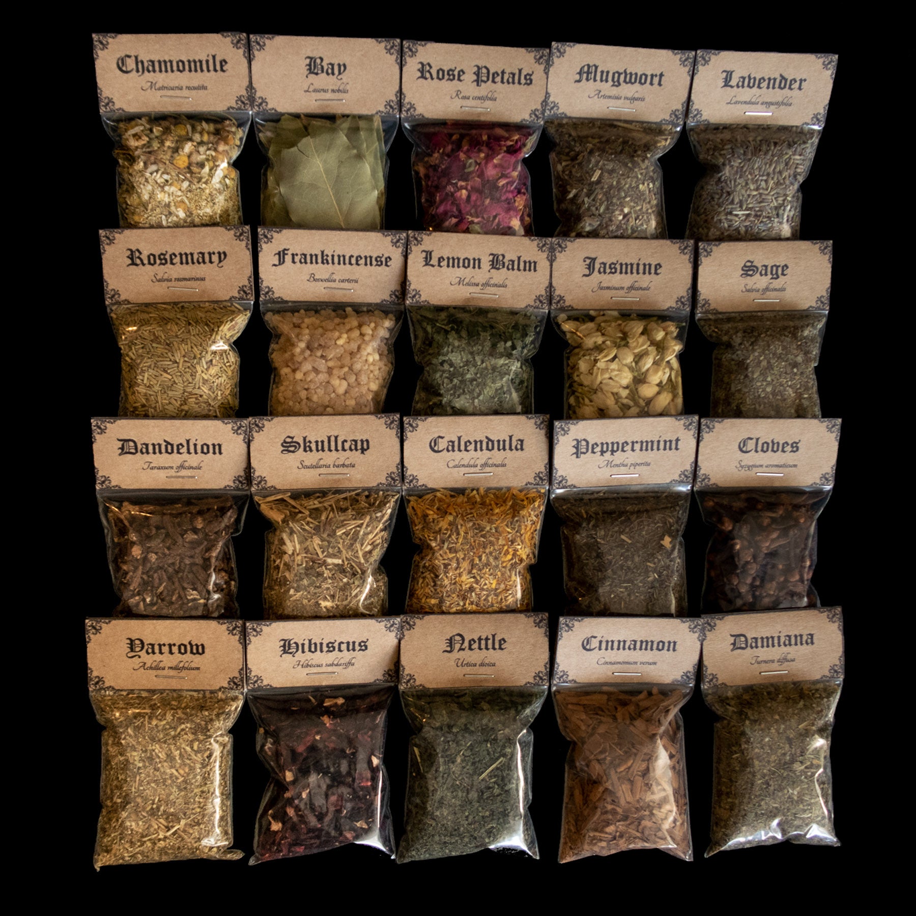 Extended Botanical Favourites kit: A collection of 20 bags of herbs - Victorian-apothecary-style brown labels at the top give the common and Latin names
