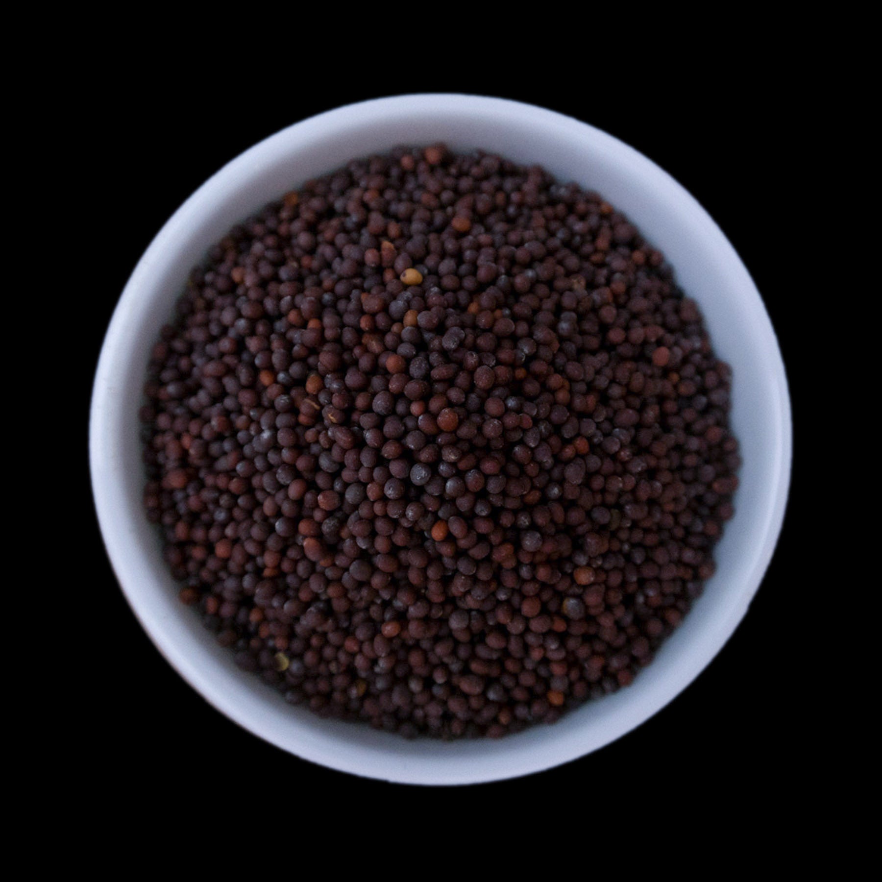 Whole reddish-dark-brown mustard seeds